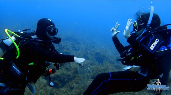 junior-advanded-open-water