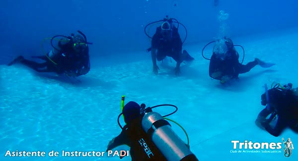 Asistente-de-instructor-PADI
