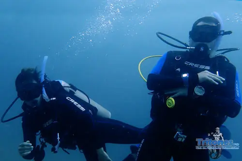 Curso-de-Divemaster-tritones-valle