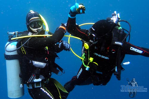 niveles-de-buceo-rescue-diver