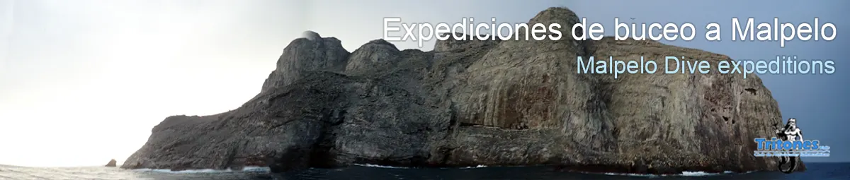 buceo-en-malpelo