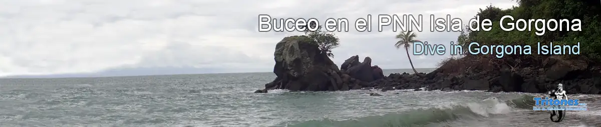 buceo-en-gorgona