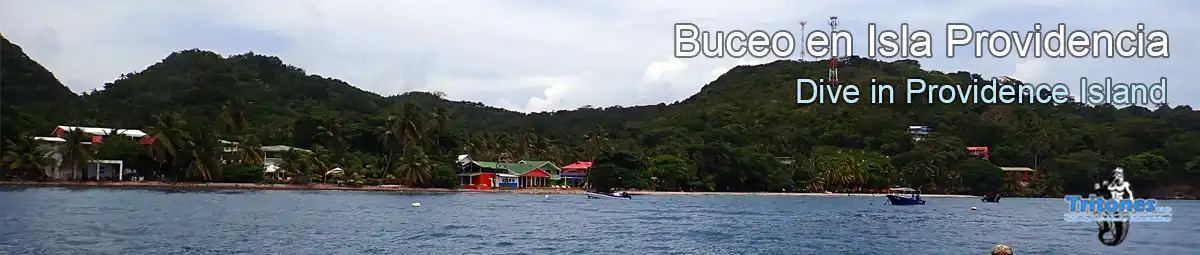 buceo-en-providencia