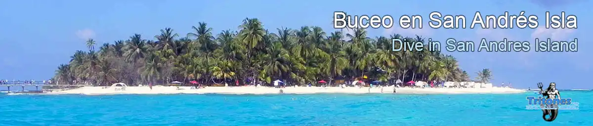 Buceo-en-San-Andrés